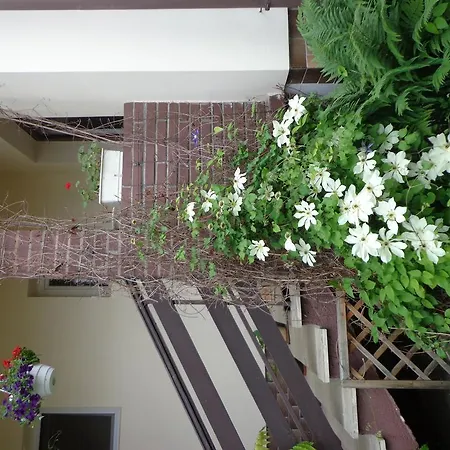 Semafor Bardejov